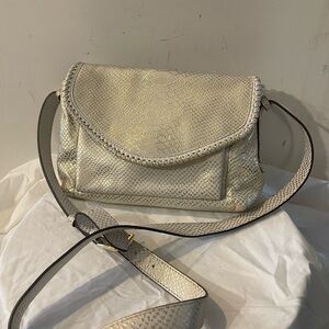 Aimee Kestenberg Metallic Crossbody